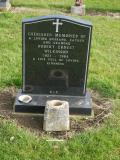 image of grave number 239318